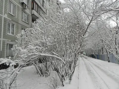 Снегопад в столице: волшебные фотографии зимней красоты