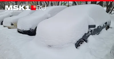 Снегопад в объективе: красивые моменты текущего дня