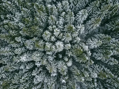 Снежные пейзажи Москвы: красивые фотографии в арт стиле