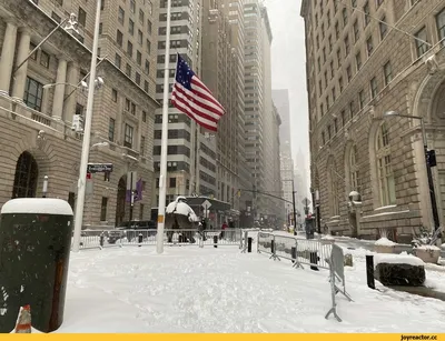 Фотографии снежных дней в Нью-Йорке: Вдохновение и восхищение