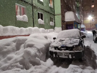 Свежий снег: Новые изображения для вашего рабочего стола