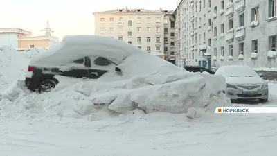 Зимний рассвет: Фотографии утреннего снега