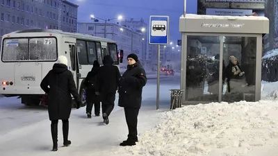 Зимний арт 4K: снег и его красота в высоком разрешении