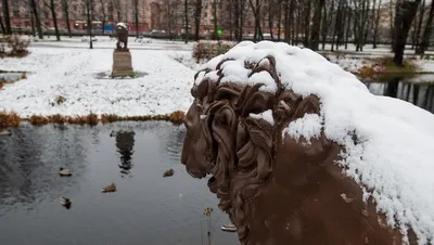 Белоснежная красота: Зимний Петербург в объективе