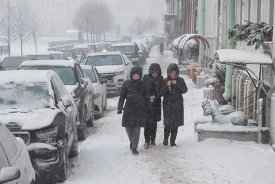 Метель в объективе: Удивительные кадры заснеженного города