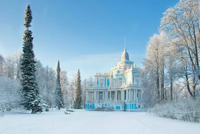 Волшебство кристальных снежинок: Фотографии зимнего Петербурга