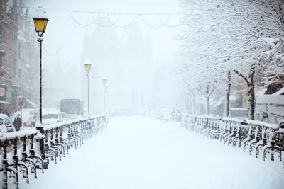 Зимний вихрь: Фотографии снежного Петербурга, полные атмосферы