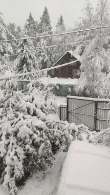 Ледяные картины: Снежные пейзажи Петербурга на фото