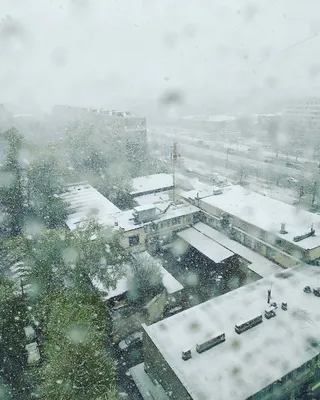 Фон снега: Атмосфера зимней сказки в HD качестве