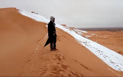 Зимний арт: Изображения снегопада