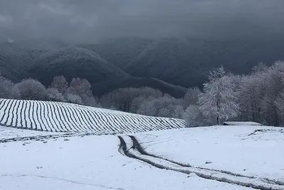 Фотк с заснеженными пейзажами Сочи