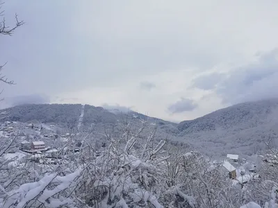 Арт с снегом: волшебство зимы в каждом кадре