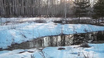 Фотография весеннего снегопада: волшебство хрустящего снега