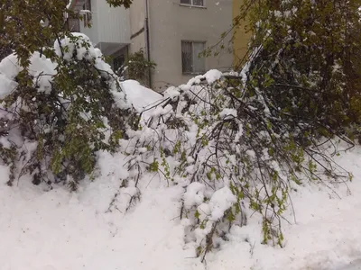 Арт-фотографии снежной сказки: вдохновляющие моменты в каждом кадре