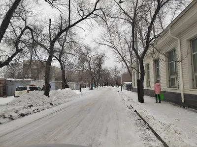 Холодное великолепие: Снежные красоты на улице