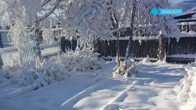 Заснеженные пейзажи в jpg