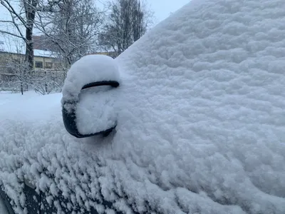 Зимний вихрь: динамичные снежные фотографии под ветром