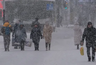 Full HD фото снежных полян: зимний пейзаж в высоком разрешении