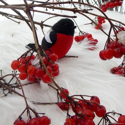 Зимний пейзаж с снегирами: Скачивание фото в WebP