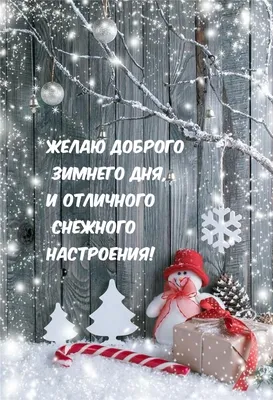 Зимние мотивы: фотографии снежного дня