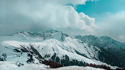 Белое безмолвие: впечатляющие фотографии снежных пиков