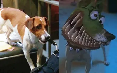 Фото собаки с фильма Маска: выбирайте размер и формат загружаемого изображения