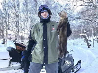 21. Зимний восторг: фотографии соболей в высоком качестве