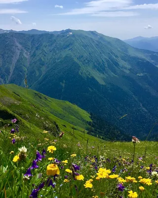 Фотографии горячего курорта Сочи с величественной лысой горы на фоне