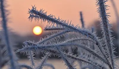 Фото зимнего дня в HD качестве