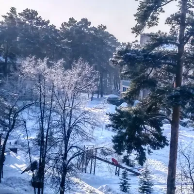 Романтические кадры Соколиной горы в челябинске на фото