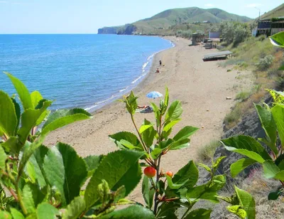 Красивые фотографии Солнечной долины Крымского пляжа