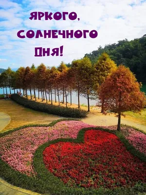 Фотоальбом солнечного дня: волшебство и свет