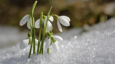 Фото, которые вдохновляют в Солнечный весенний день