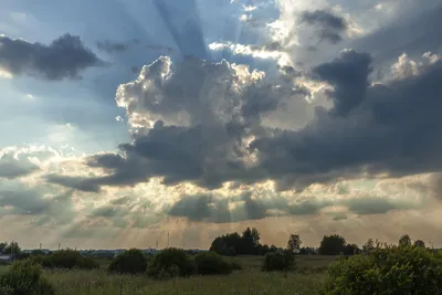 Солнце, небо и горизонт: Пейзажи на фото