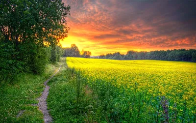 Солнечный свет: Вдохновение природы