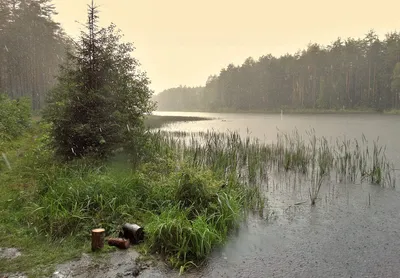 Фото дождя в 4K разрешении