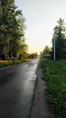 Дождь во всей красе: Фото в высоком разрешении