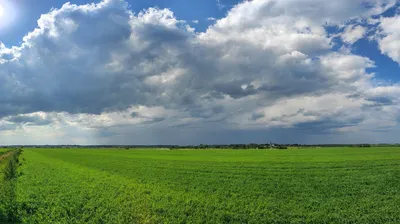 Картинки с дождем на вебсайт