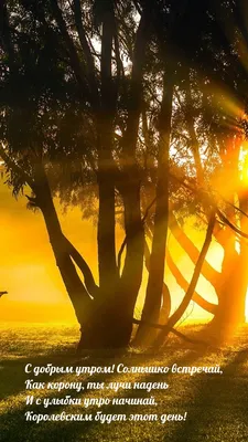 Картинка Солнышко доброе утро 4K