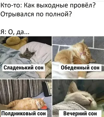 Фотографии сонных людей, которые вызовут улыбку