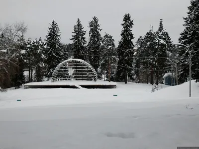 Зимняя атмосфера в Сортавале: Фотка дня
