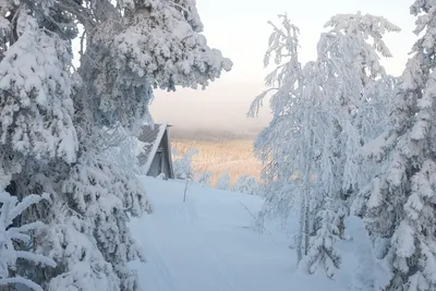 Импрессии зимнего Сортавала: Лучшие фотографии