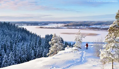 Зимний пейзаж в Сортавале: Фотоальбом