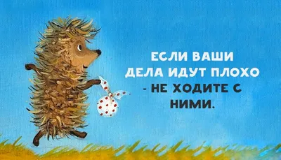 Фото совета дня: выберите размер и формат для скачивания (JPG, PNG, WebP)