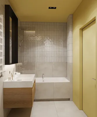 Фотография современной маленькой ванны для веб-сайта