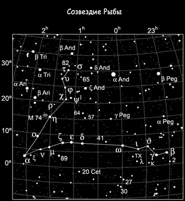 Созвездие рыбы  фото