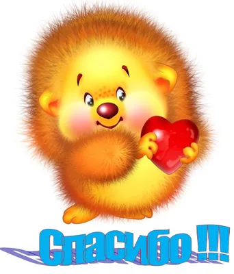 Новые смешные фото: скачать в формате JPG, PNG, WebP