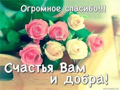 Новые смешные фото: выберите формат - JPG, PNG, WebP