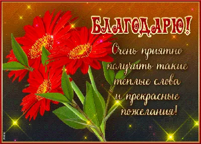 Фотографии в формате JPG, PNG, WebP для скачивания