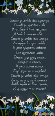 Любовь в объективе: Моменты искренней признательности